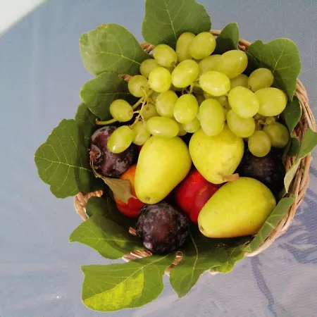 Bed and breakfast Le Falesie Di Castelluzzo